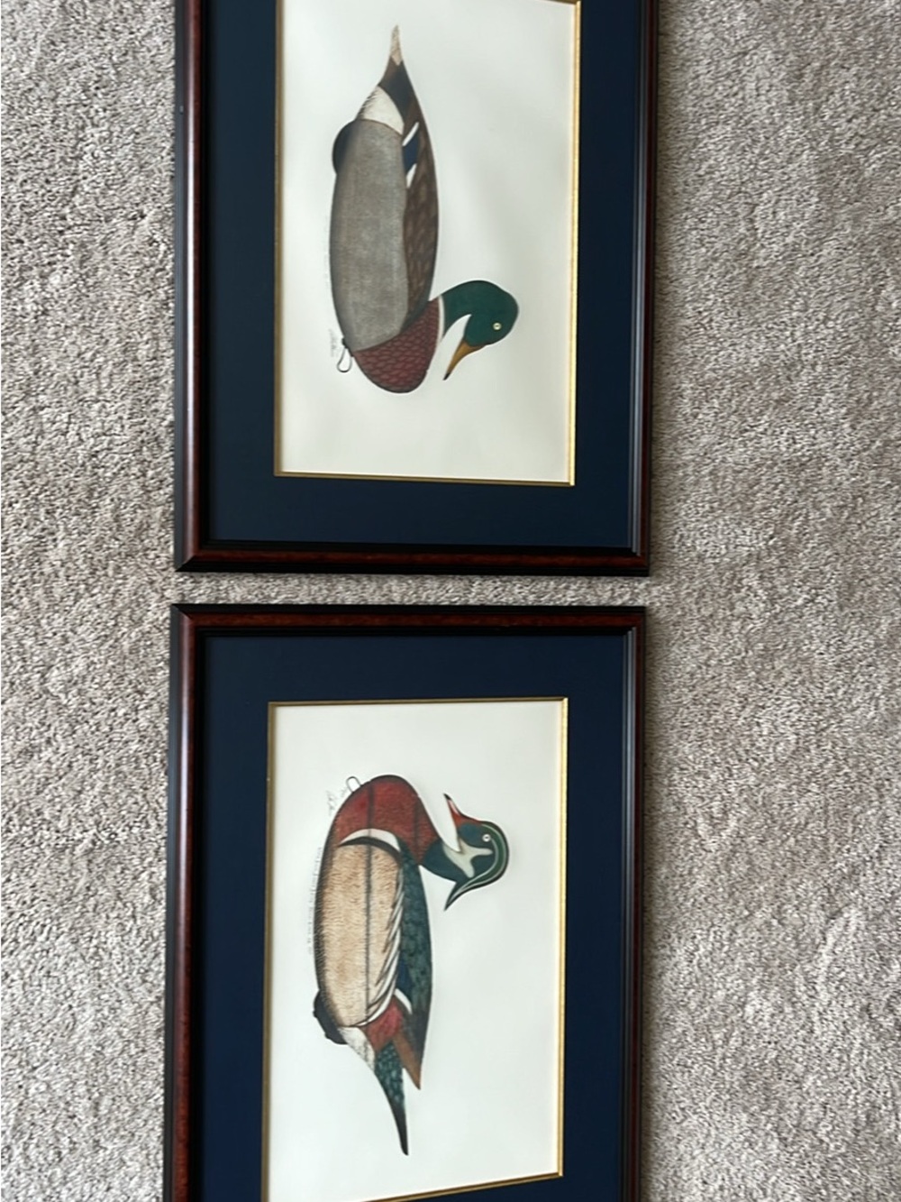 Arthur Nevin (Pair) Framed Duck Print Wall Art - Multicolor